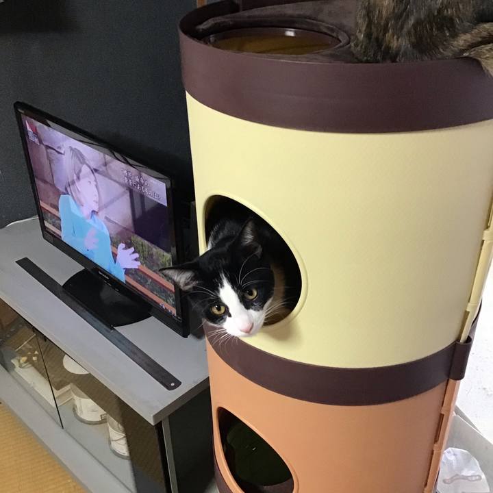 B370ea01 e84c 418f 8463 2cfb17042963 1638324971552