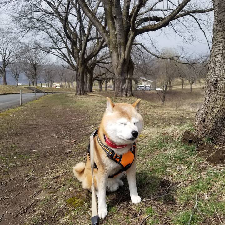 B3711b7a e15a 48e4 bad2 ca3dd3fe0478 1711763774822