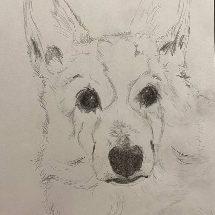 B3714ccb 860d 4828 beac 265b5561c2fd 1613314658929