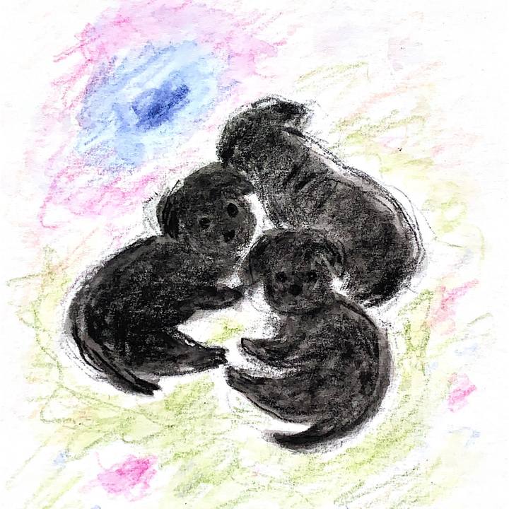 B3716b46 2d14 44bb 887e 349f9c89ee72 1666735340204