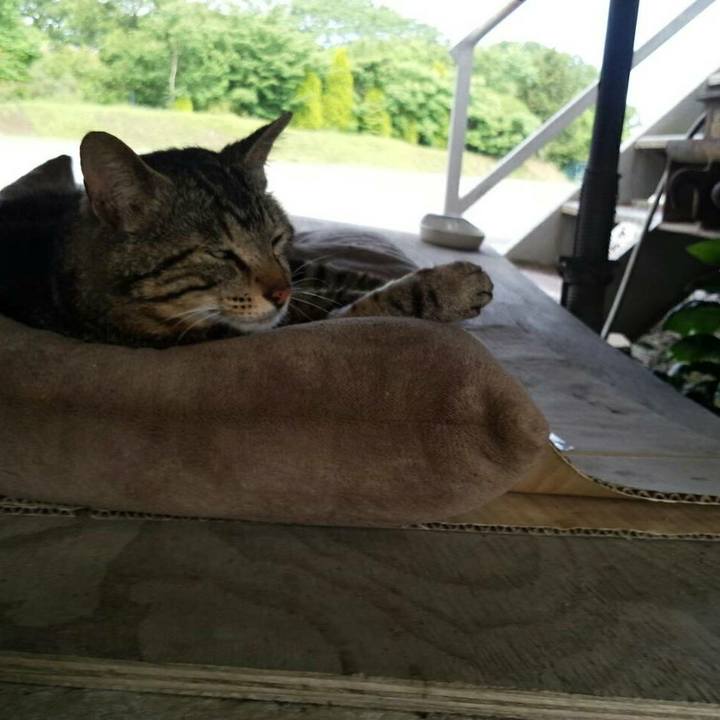 B3717c75 9c6e 420c acdd cfe84ac81359 1526736372619