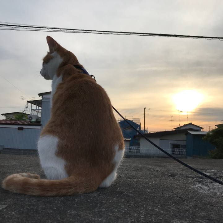 B3719014 07b7 49f5 be9a 033398cf056f 1526904579700