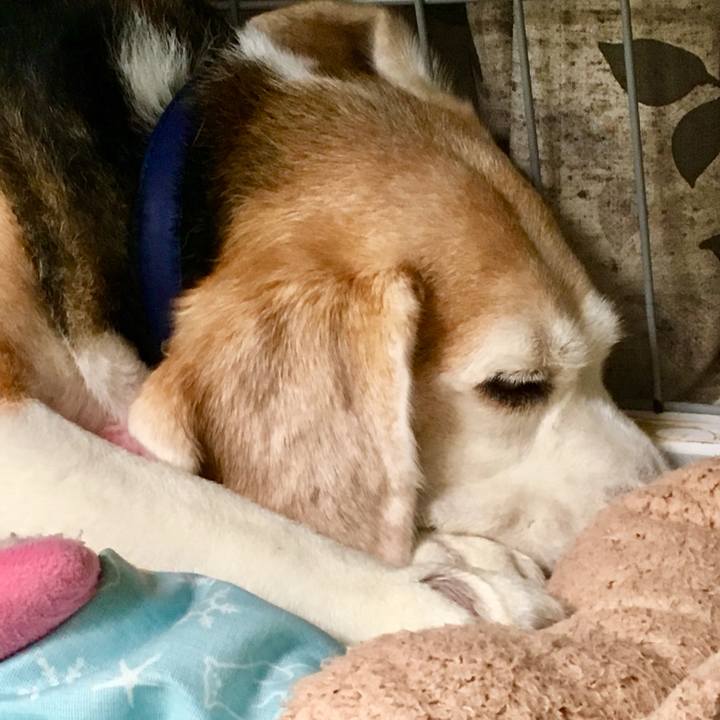 B371e96f cf88 4b0d 845b 5a4c78ec86fc 1751363232532