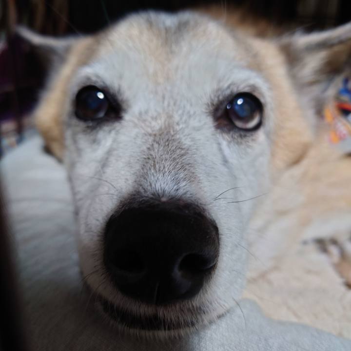 B371f266 690d 4fd3 a687 7cd1236f1004 1705580471936