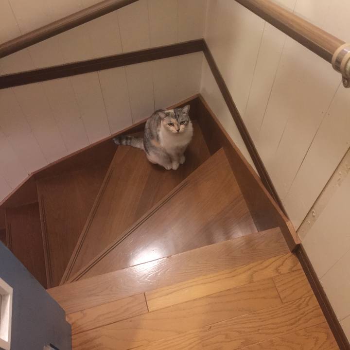 B3721a36 4034 4294 bd87 8c87feab77c0 1569236637486