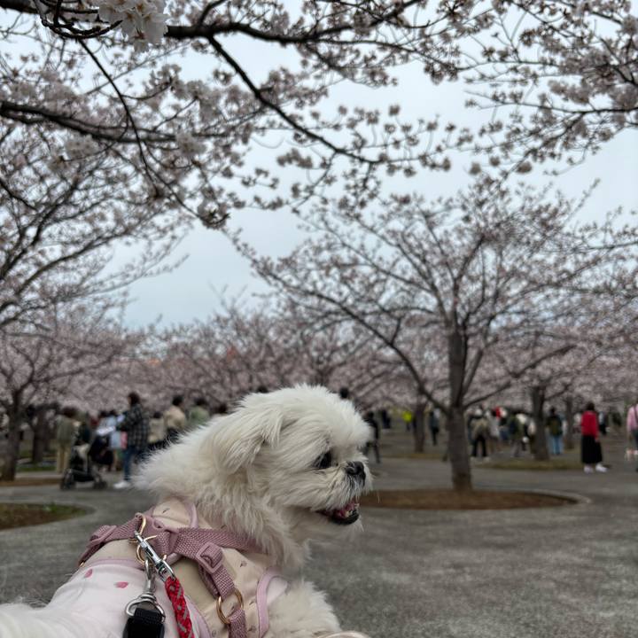 B3724043 b109 4f4c 93bb 62410c96c8c5 1744078229568