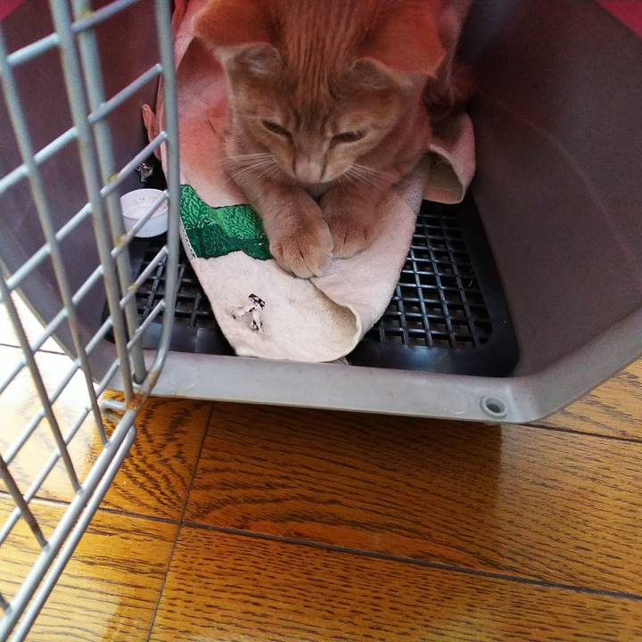 B372558f 57ae 495c b8bd 2b9104d53fc7 1543703035889