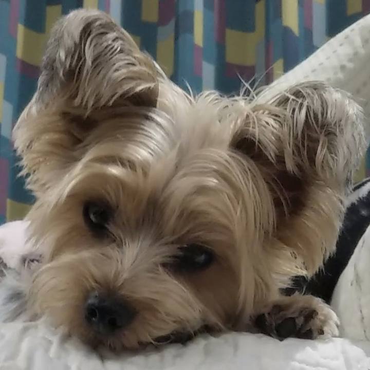 B3726294 3b39 48b0 8651 c5b116e426a0 1578723881101