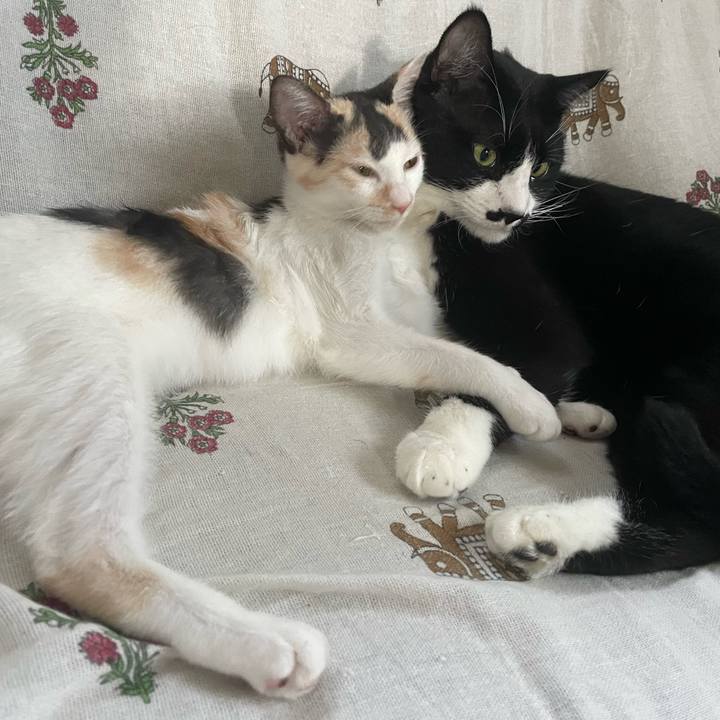 B37272a9 6cfd 486b b420 a9baf9eaa736 1663138162094