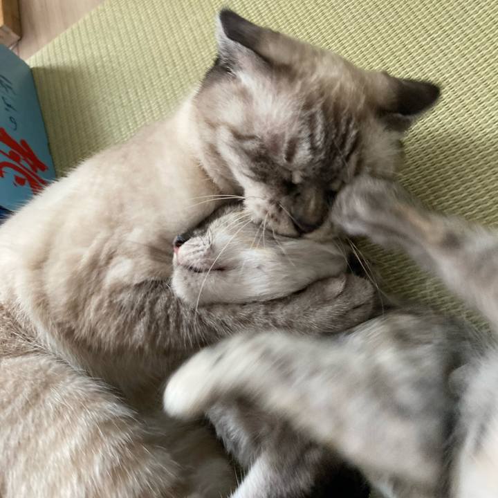 B3727d74 6039 4f7d 81d2 f0dfc1fcaa5e 1693609283403