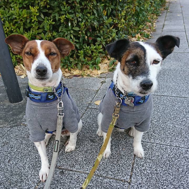 B3728e2a 35ce 4ee1 9bcc fae86cb3c102 1609198451102