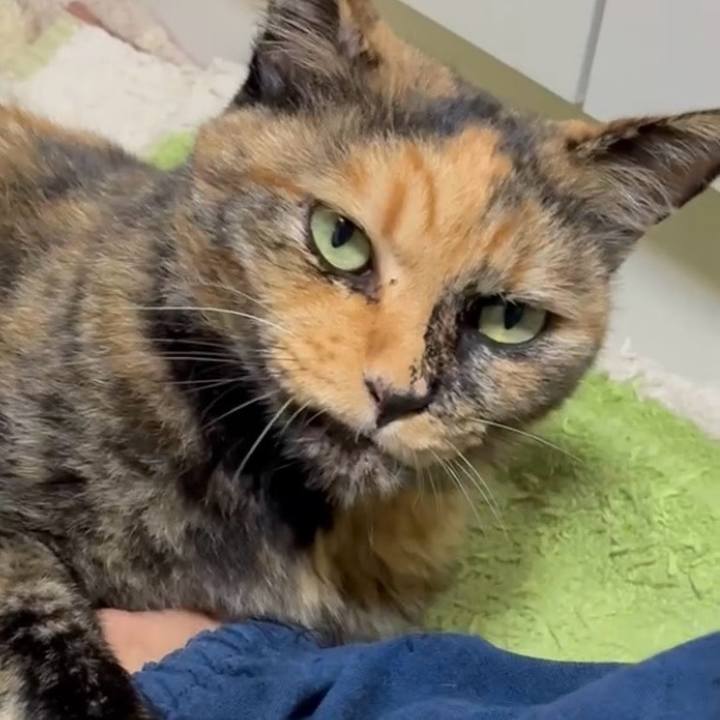 B372ba21 9791 4a82 a4a2 f05592e8f977 1756807407521