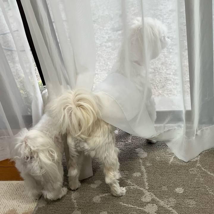 B372d1a3 7ad3 47fb 9ed4 472e25ba765b 1729674698481