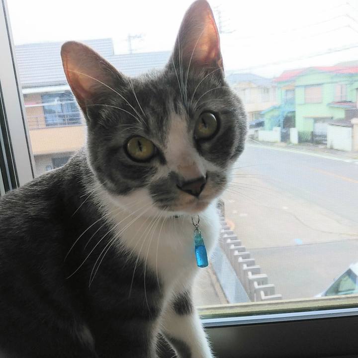 B372d3dd 2f12 48b8 8b09 233f82cb29bd 1588719039936