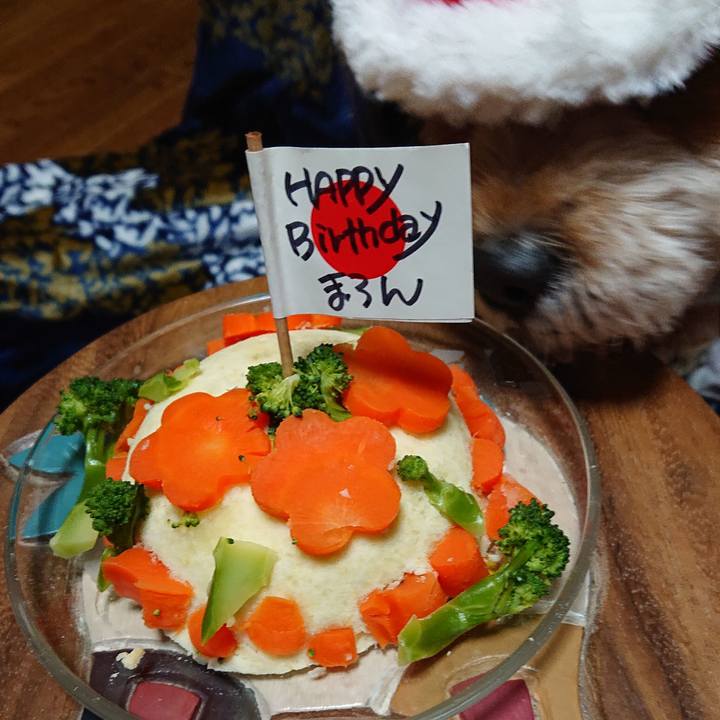 B373068f 99b9 4706 ab67 115ee6eda059 1576922301601