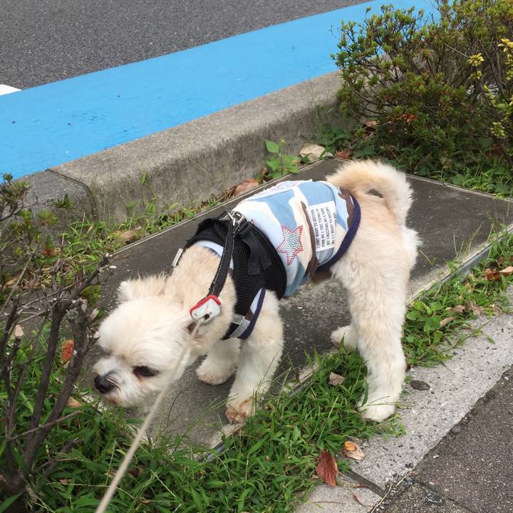 B3732f7a 9d99 4f52 99ba 4af78b053d0f 1538977830499