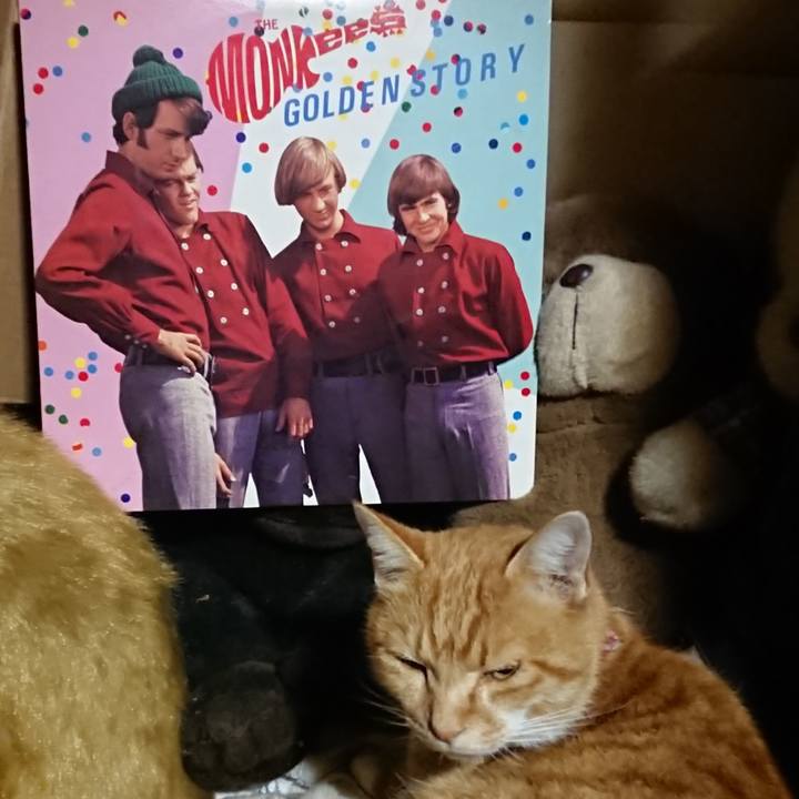 B3733c90 1fdc 4ccc 8e55 bac32ed46123 1604664270562