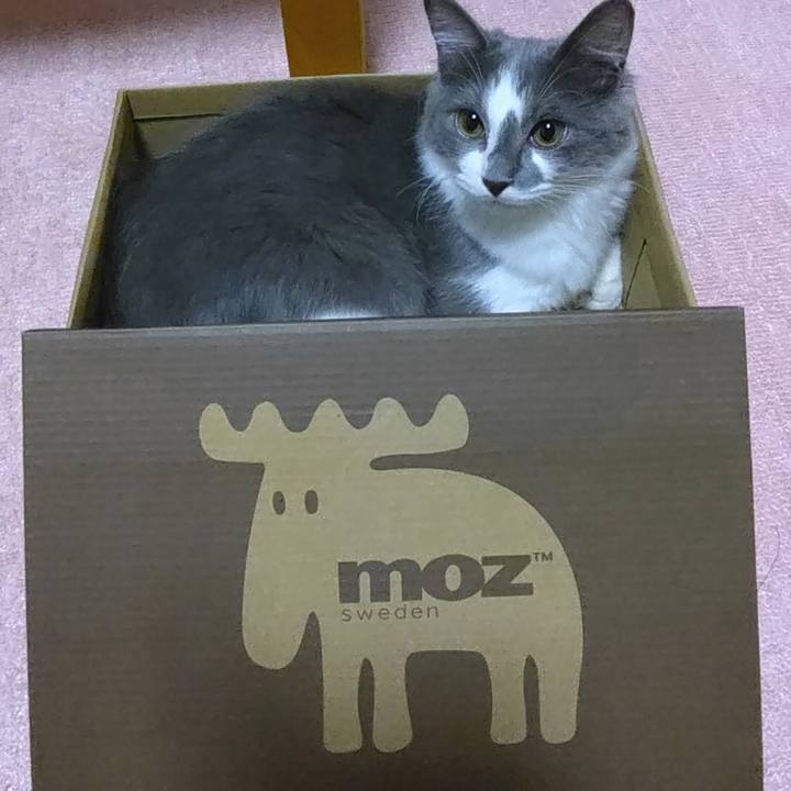 B37368dd b606 415f b0ec 7cea2ea29b73 1569754218646