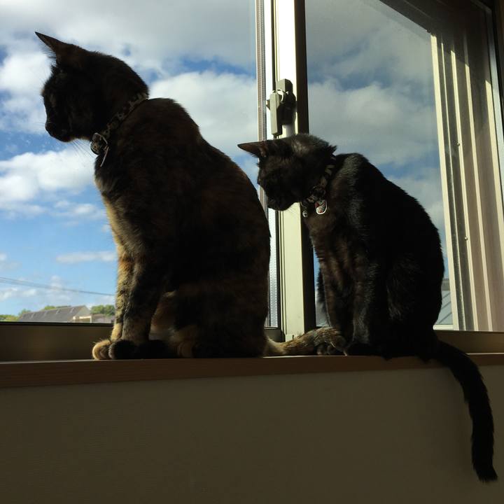 B3737d47 234d 4659 b3a5 75d443ea1813 1526945895185