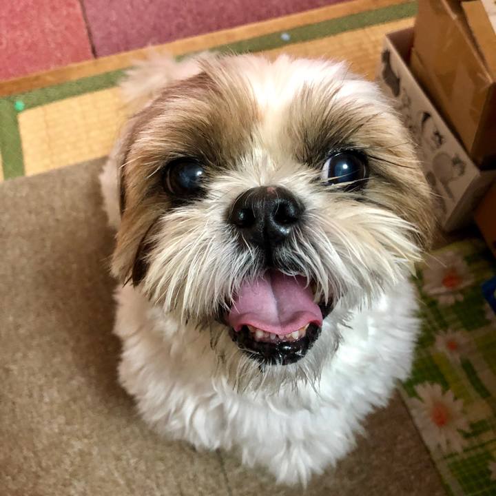 B37387b9 2155 46e5 bde1 c3f3def77682 1572061240798