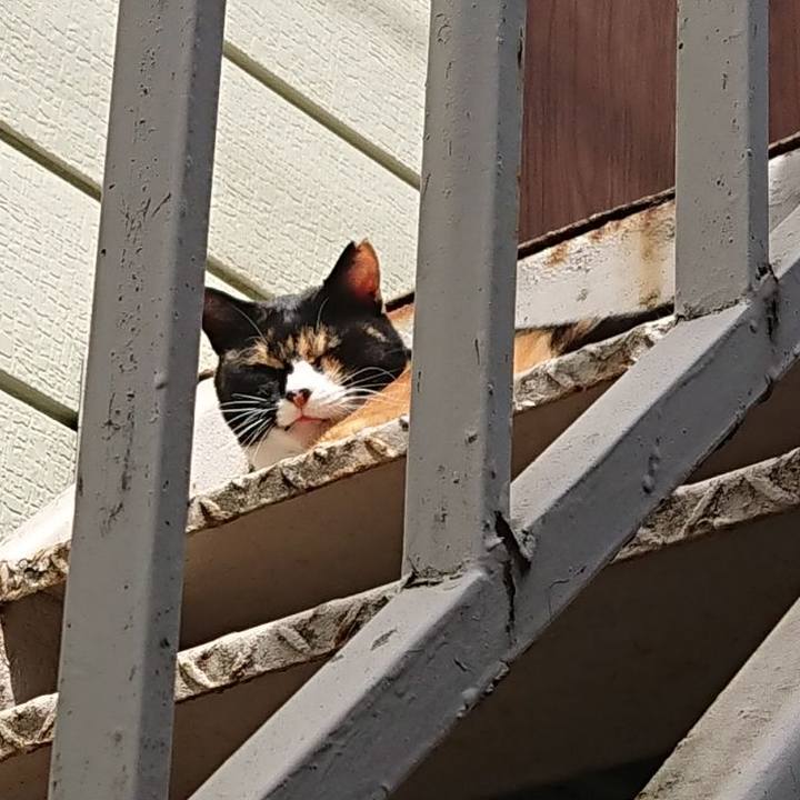 B373968c 85ba 4509 aac6 a4101048e438 1662188586153