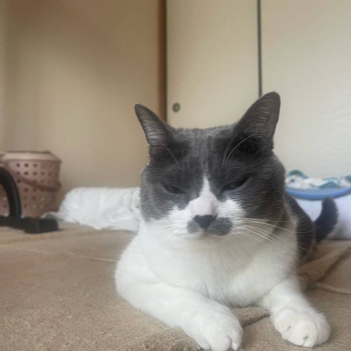 B373d018 9979 4c31 b7e5 454267cf8bc1 1725833682256