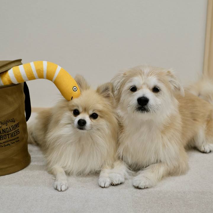 B373d7f0 00be 4b5d 9806 70397d3f17e7 1764711491158