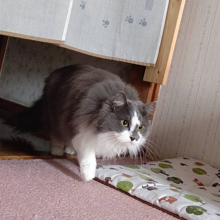 B373dad6 a361 4b21 8001 ab841fb3cf26 1628234233755