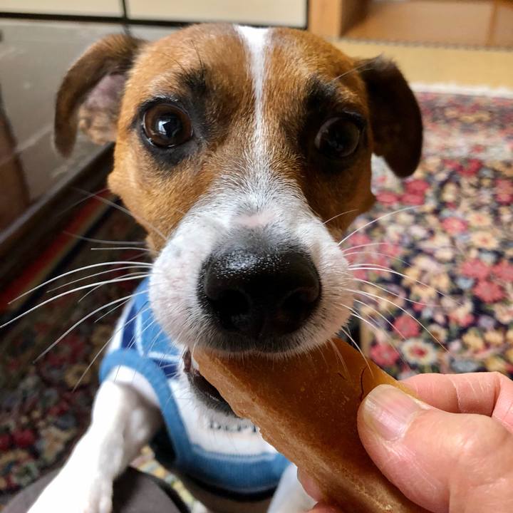 B373e0ae 630e 4a2c b15e 6e95d9fd5a00 1602294446300