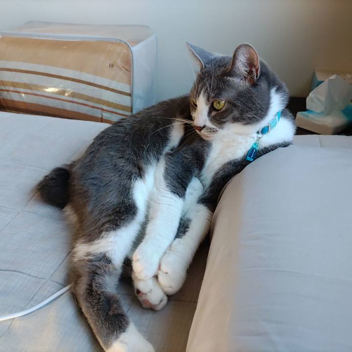 B37427f5 c0c0 450b b91c 9c6c125f51bf 1664087343148