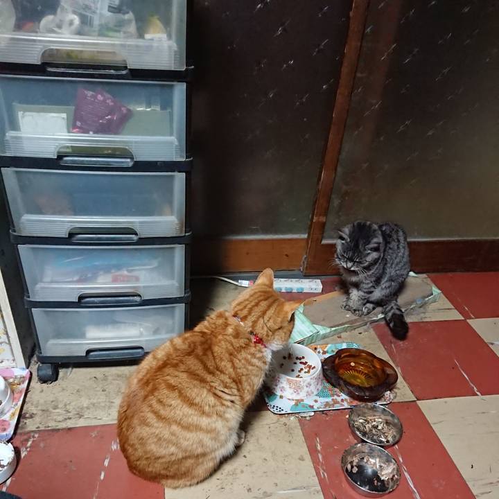 B3748c98 3292 4e42 8263 3e2b8a5b168a 1579808882750