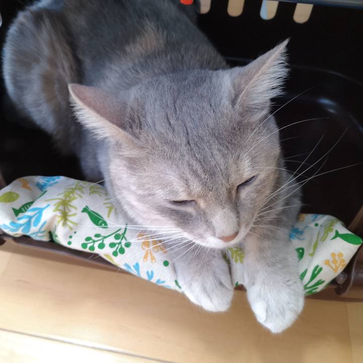 B374a1a1 608f 46e6 b51f e9b14ecf8185 1561692179448