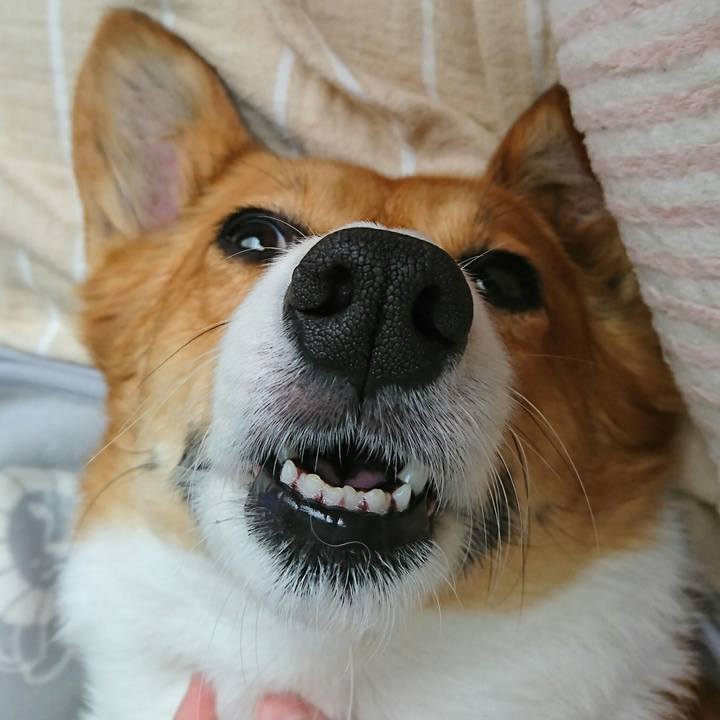 B374ea4f 4d52 4100 96cf 5ca033bc21ae 1523602291925