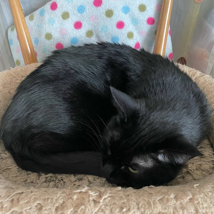 B375306d e7b1 429a b79f df50ba18df2e 1743943292845