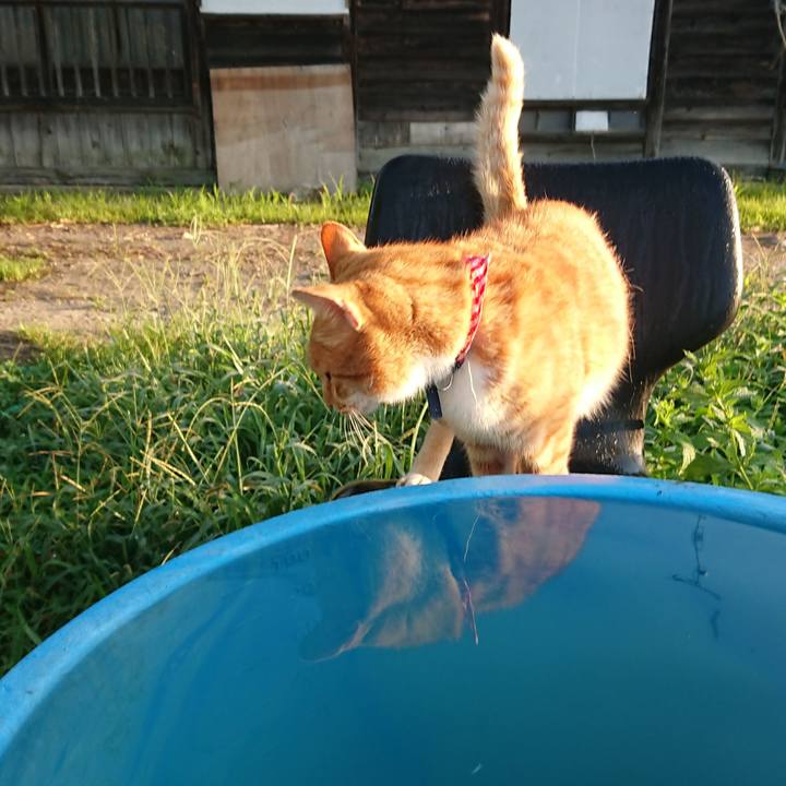 B3753dab 64fa 409f 9556 628be4498db1 1597870693945