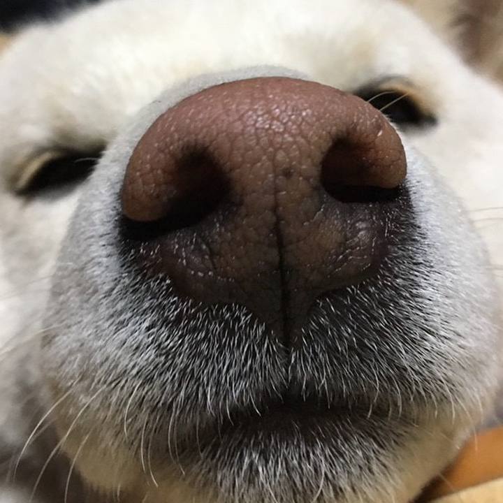 B3753dd9 dc93 4e28 8801 a9147d9cac50 1548035742982