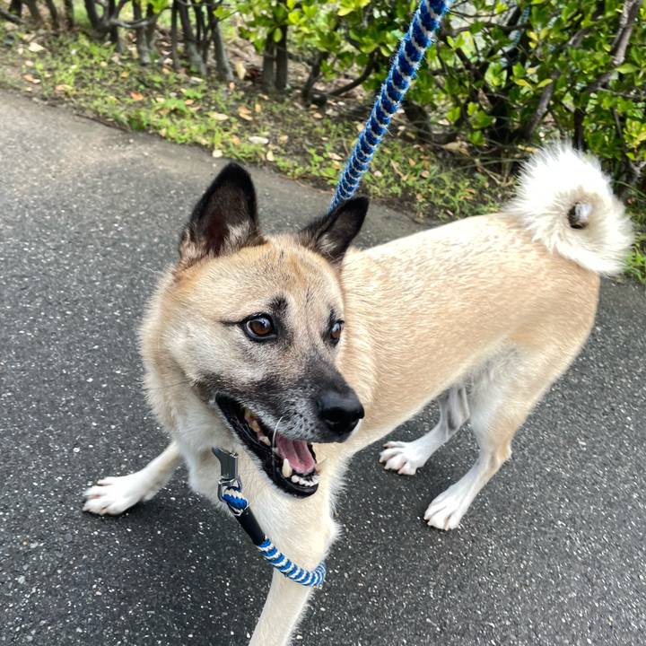 B375415e ae51 4abe 8ced 9e53311fe418 1666011085410