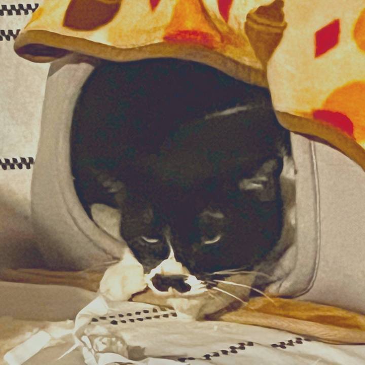 B3757086 3da3 4e1c b983 b6cba2141b58 1702252804187