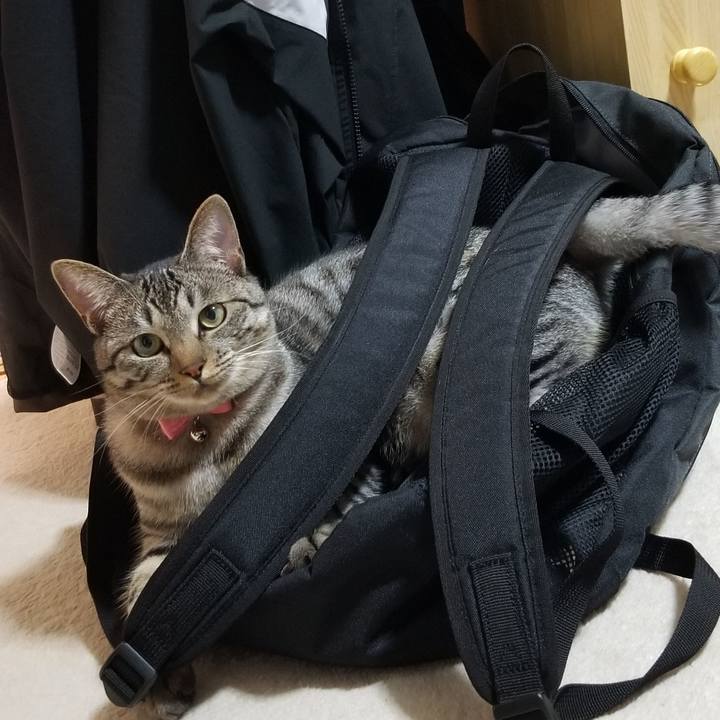 B3757bc1 536c 4377 986f b71faf42af98 1687529850728