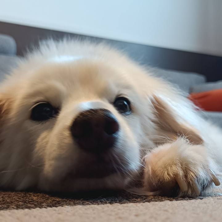 B375a607 35cf 4e4b a6b5 fad092843a12 1753662769774