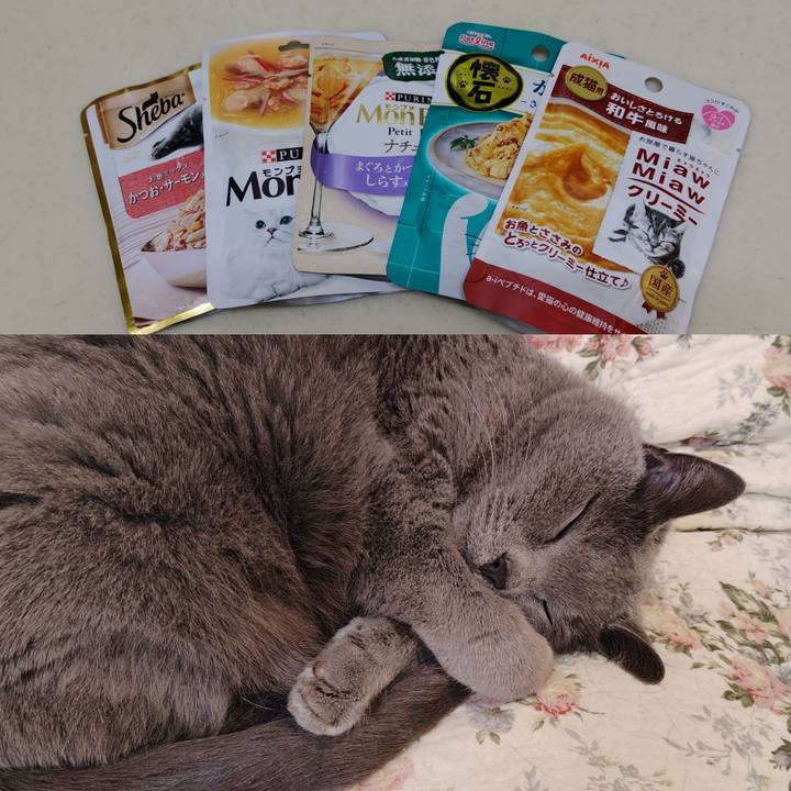 B375e489 424a 4672 8198 5a0af3fe2c49 1775295407551