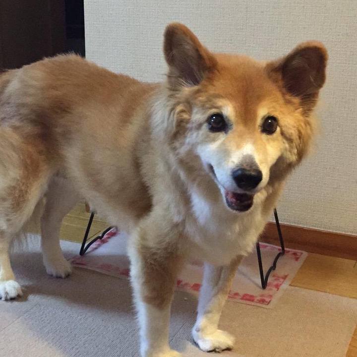 B3761a32 25a0 4d51 840c 974c4970ebc5 1536655874656