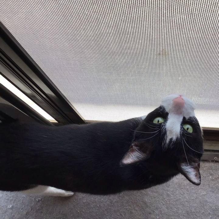 B376272c fe75 45ba bcb2 2772e44edab1 1746952369018