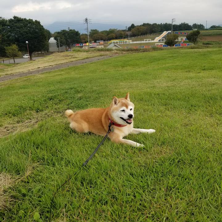 B3762fb4 4b14 4df1 ad86 b32c48a7eb40 1727423871595