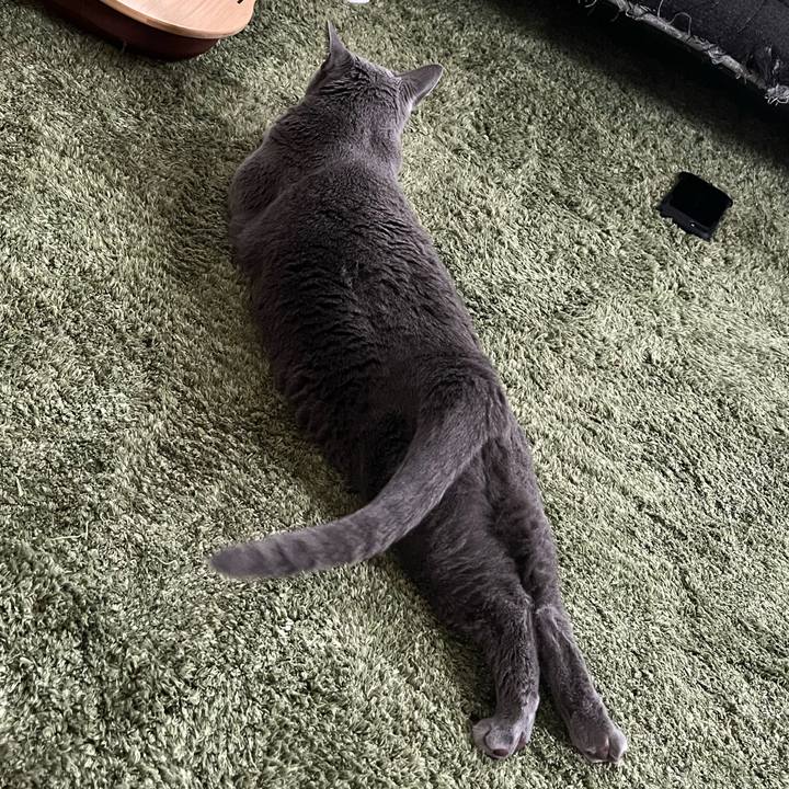 B37642be 8515 4afa a177 97be150a9e1d 1760357347072