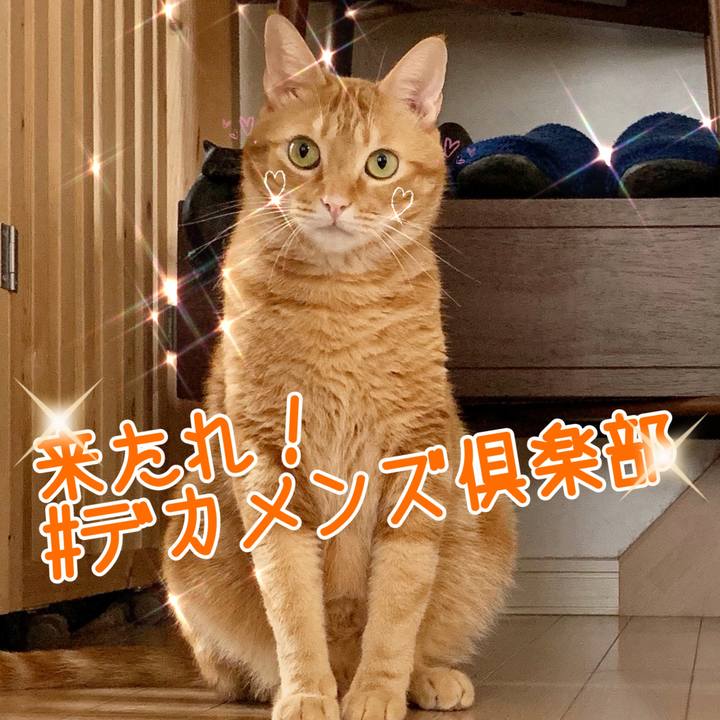 B3765bdc 148f 4a9e abf6 84edd311ffcd 1567088220201