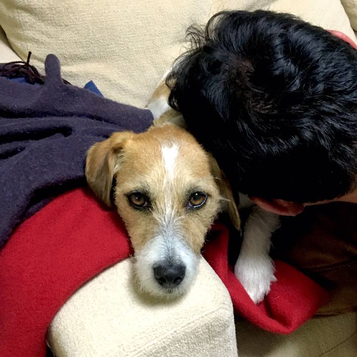 B376ab53 a85b 41e3 8a29 7a8c7ee44cea 1547117572567