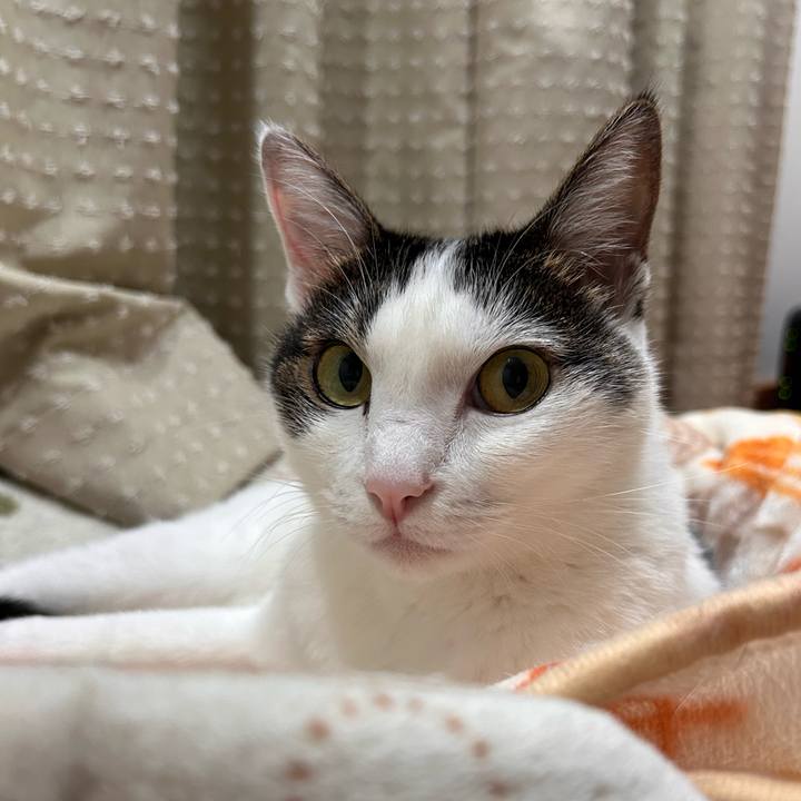 B376bc78 a7d8 45b2 8f1f 1121bb656973 1727877525632