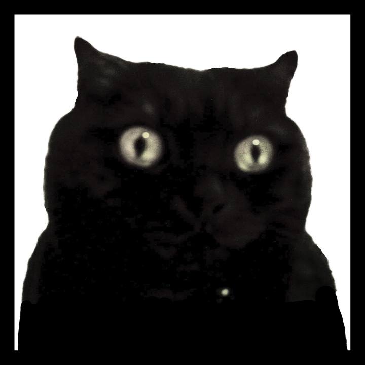 B376cb5f bf15 43e2 9d64 2ae53ad8f16c 1646397427685