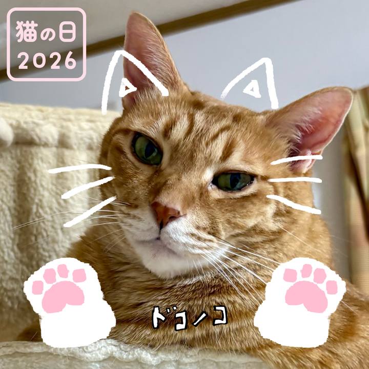 B376f382 1ed2 434c 81bb f3e7106219be 1771767273427